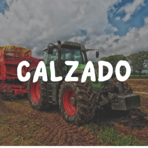 Calzado