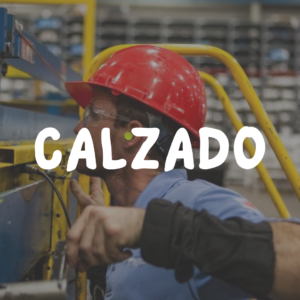 Calzado