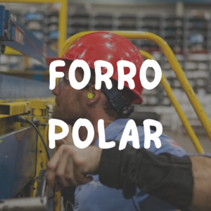 Forro polar