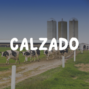 Calzado