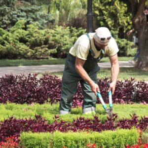 Jardinería